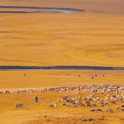 兰州+甘南+扎尕那+拉卜楞寺+郎木寺镇+甘加秘境+桑科草原5日4晚拼小团