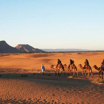 摩洛哥扎古拉2日1晚跟团游