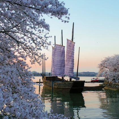 上海+乌镇+杭州+苏州+无锡+南京10日9晚私家团