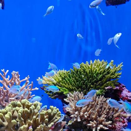 日本冲绳县4日3晚私家团