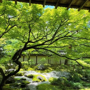 日本东京+箱根+京都+大阪10日9晚私家团