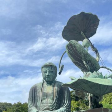 日本东京+伊豆+东伊豆町+西伊豆町+富士河口湖町+箱根8日7晚拼小团