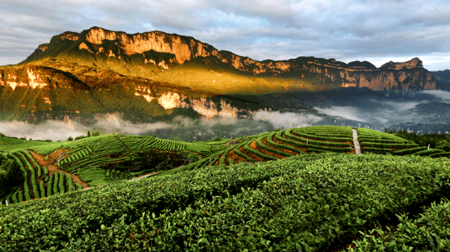 恩施土家族苗族自治州、恩施+12