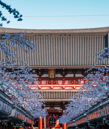 6天5晚 • 【東京經典・富士覽勝】靜謐開闊山中湖+清澈碧泉忍野八海+歡暢購物台場