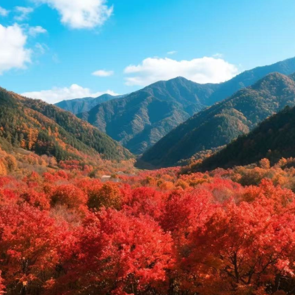 中华枫叶之路+本溪老边沟风景区+本溪大石湖风景区+关门山国家森林公园+红海滩国家风景廊道6日5晚私家团