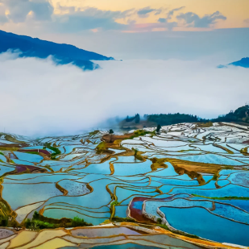 云南昆明+抚仙湖+建水+元阳+蒙自+弥勒+普者黑风景区7日6晚自由行