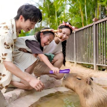 清远长隆森林王国+珠海长隆海洋王国+广州长隆度假区5日4晚跟团游