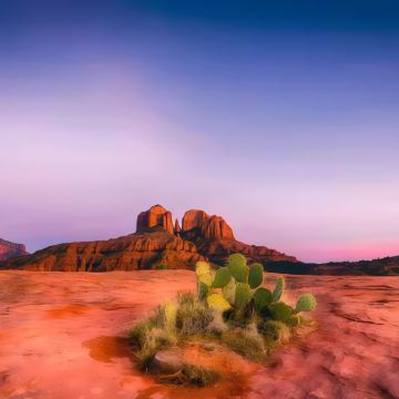 美国+墨西哥11日跟团游