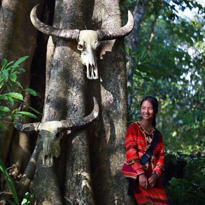 澜沧景迈山茶林文化景区+翁基布朗族老寨+糯干古寨+西盟+临沧翁丁原始部落+沧源佤山3日2晚拼小团