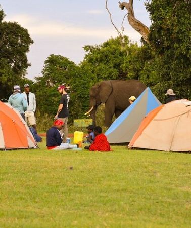 4D3N • 4 days Tanzania group safari to Serengeti, Crater and Tarangire