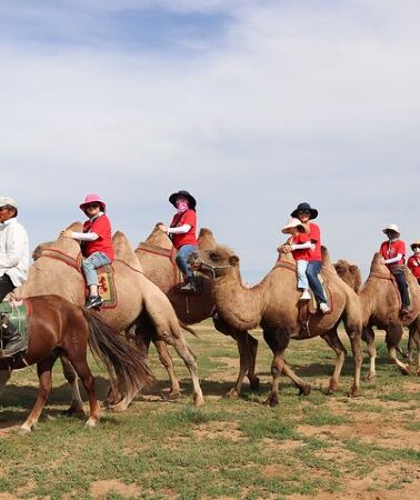 8D7N • Khuvsgul Lake & Central Mongolia 8 Days Tour