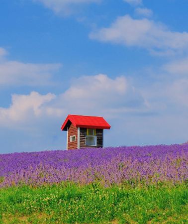 7D6N • Year Round Hokkaido Flower Lake:  Tour Zoo Glass Craft Sightseeing Experience + Sapporo Toya Sounkyo Onsen Hotel Stay + Otaru Canal Odori Park Landmarks 