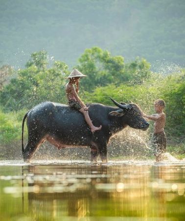 3D2N • 3-Day Mekong Delta River Cruise - Phnom Penh