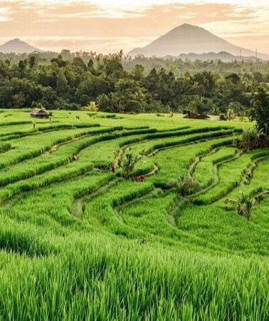 3D2N • Bali 3 Days Private Tour-Bali Highlight