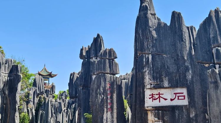 8-Day No surcharge for Christmas & Flexible and adjustable itinerary: Kunming + Dali + Lijiang + Shangri-La - 3 UNESCO Wonders + Private Vehicle + Attraction Tickets + 2 High-Speed Train Experiences
