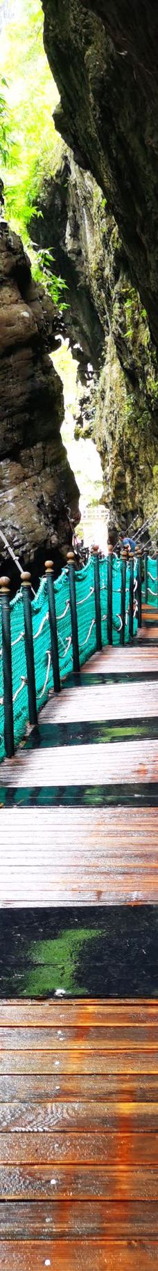 黑山谷风景区-重庆