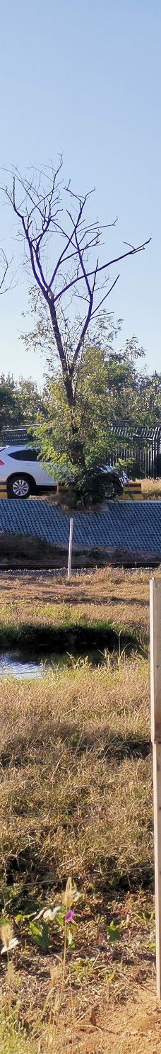 秦皇岛野生动物园-秦皇岛