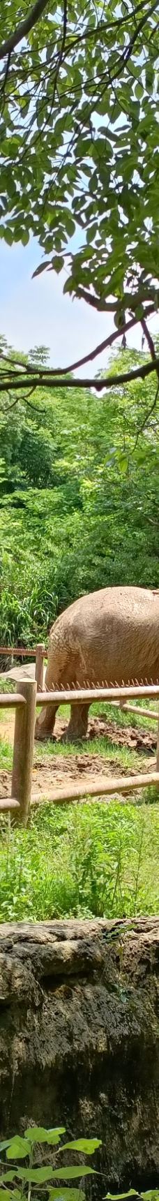 南昌动物园-南昌