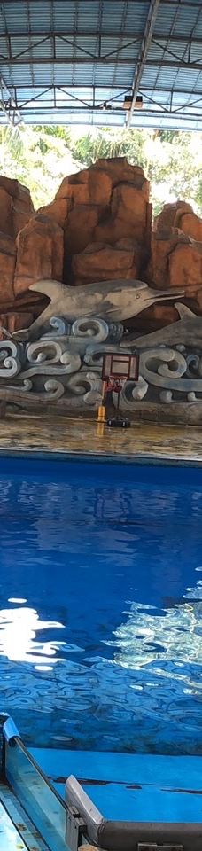 南宁动物园-南宁