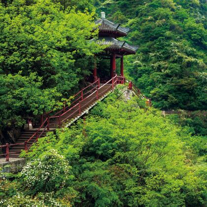 汉中黎坪森林公园+汉中石门栈道风景区+勉县武侯祠博物馆+诸葛古镇2日1晚跟团游