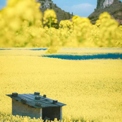 昆明+罗平+弥勒+蒙自+元阳+建水+抚仙湖+东川红土地9日8晚拼小团