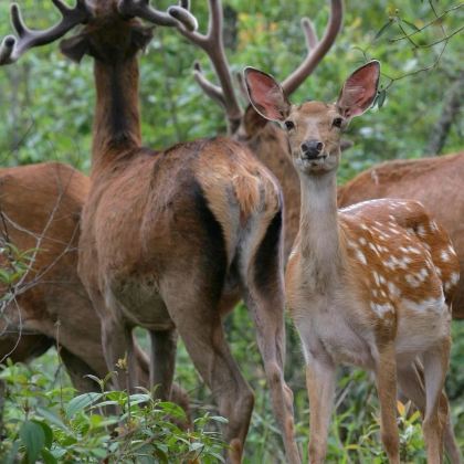普洱3日2晚私家团