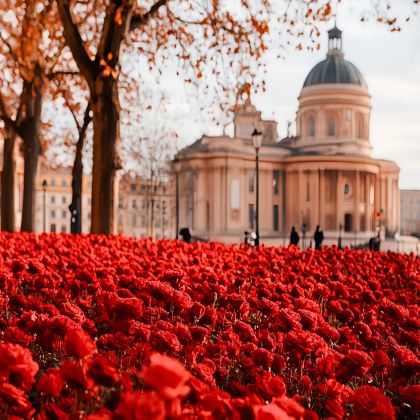 法国波尔多+图卢兹+阿尔勒+卡尔卡松5日4晚私家团