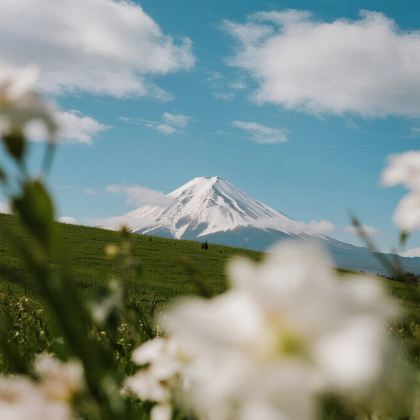 日本东京+大阪10日9晚自由行