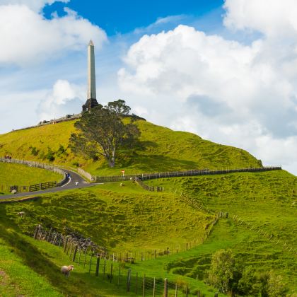 新西兰奥克兰+伊甸山+奥克兰动物园+奥克兰鲸鱼海豚发现之旅+天空塔2日1晚拼小团