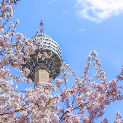 韩国首尔5日4晚自由行