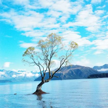 新西兰南岛+基督城+皇后镇+普卡基湖+瓦纳卡+NZONE高空跳伞公司6日5晚拼小团