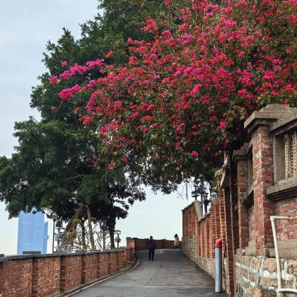 厦门+鼓浪屿+福建初溪客家土楼群+云水谣景区6日5晚私家团