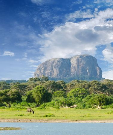 7D6N • Galle Fort + UNESCO World Heritage Sigiriya Rock + Highland Tea Plantations: 5-star Hotels Throughout, 2 Consecutive Seaside Nights & Mangrove Boat Tour