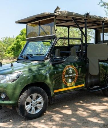4D3N • 4 Day Kruger Glamping Safari and Panorama Tour