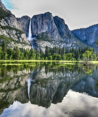 2D1N • Yosemite & Kings Canyon NP 2-Day Tour from LA