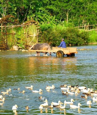 3D2N • Pu Luong Nature Reserve and Ninh Binh Heritage 3 Days from Hanoi