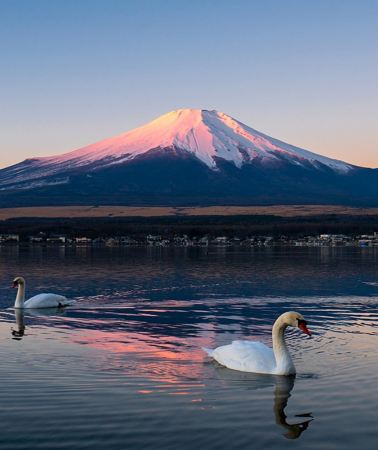 6日5晚 • 日本東京＋富士山＋箱根＋鐮倉＋伊豆 「關東五城聯遊＆深度暢玩」專車接送機｜山海風光＆都市漫遊 東京富士山箱根鐮倉伊豆全體驗