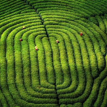 厦门+鼓浪屿+福建土楼+武夷山+泉州6日5晚拼小团