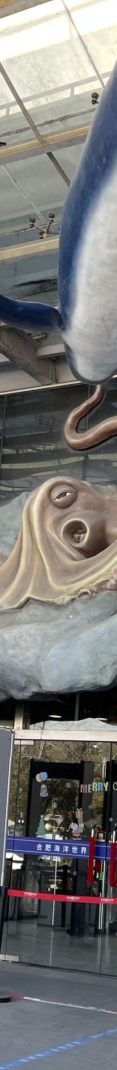 合肥海洋世界-合肥