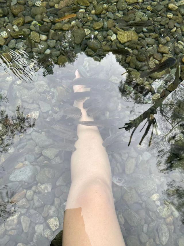 枫香温泉度假中心旅行图片 3