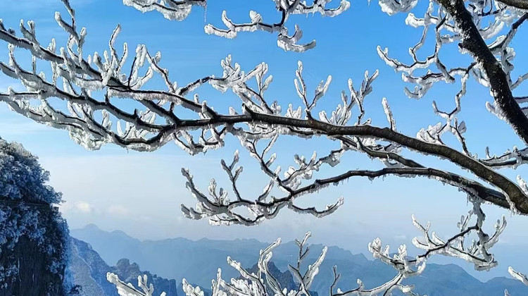 长沙+韶山+张家界+武陵源+天门山+凤凰6日5晚跟团游·【云冠潇湘】全景游〓1价全含0自费0购物+赠158元魅力湘西<韶山毛泽东故居+铜像广场>+袁家界百龙电梯+玻璃栈道+7455米高山索道+芙蓉镇+凤凰夜景|苗服换装/凤凰泛舟