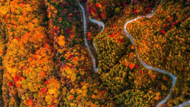 九寨沟自由行攻略：省钱省心玩转童话世界