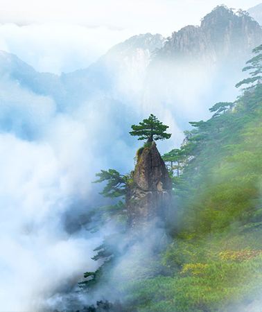 4D3N • An exclusive small group of 9 participants: Huangshan Scenic Area + Hongcun Village + Huizhou Ancient Town + Chengkan: limited Huizhou fish-lantern night tour