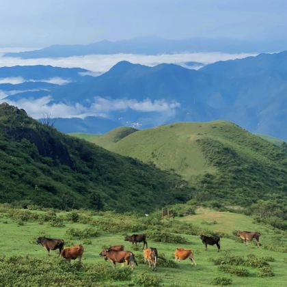 阳春+鸡笼顶山+春湾石林+龙宫岩2日1晚跟团游