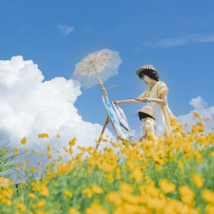 新疆北疆+乌鲁木齐10日9晚私家团