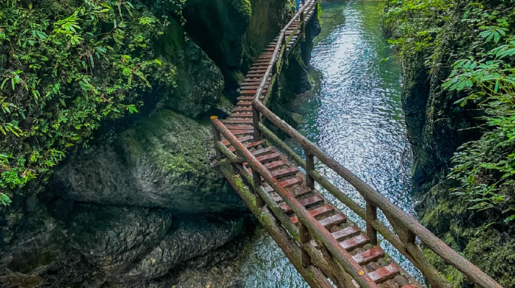 8-day 7-night · Private Tour · Chengdu + Chongqing + Emeishan + Leshan + Dujiangyan Scenic Area