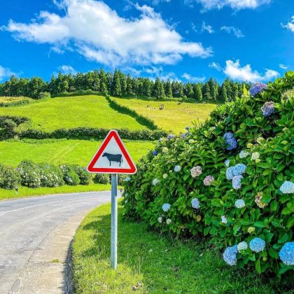 西班牙巴塞罗那+马德里+葡萄牙里斯本+波尔图+圣米格尔岛13日11晚私家团