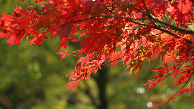 川西秘境之旅：稻城亚丁最全攻略