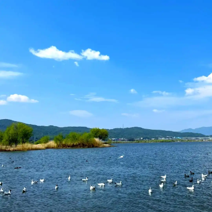 连云港海上云台山+枫树湾3日2晚私家团