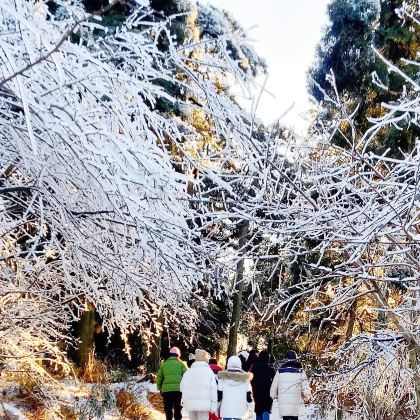 江西南昌+庐山+婺源+黄山7日6晚跟团游